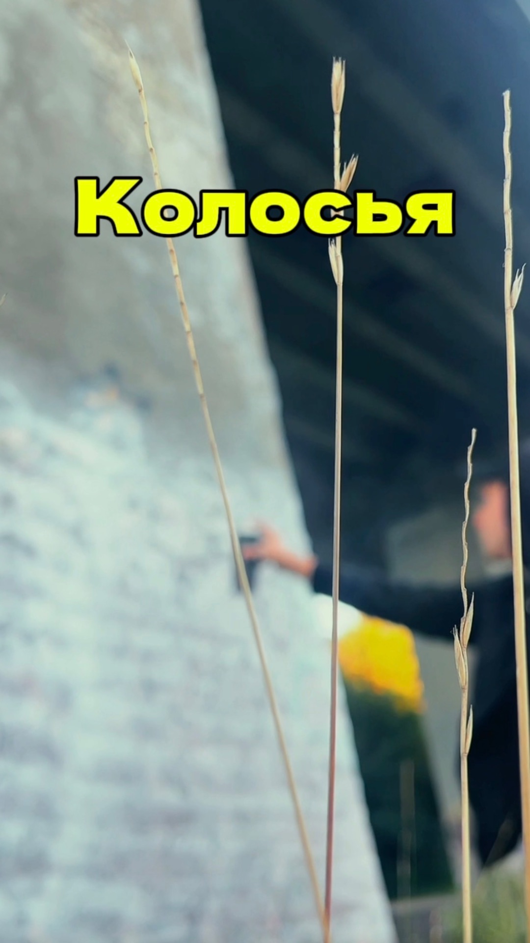 Испортил стену на заброшке, как вам? До или после