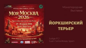 Specialty YT Club Show 25.04.2026