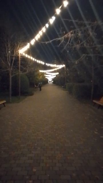 Вечерний вид на парк в городе Анапа