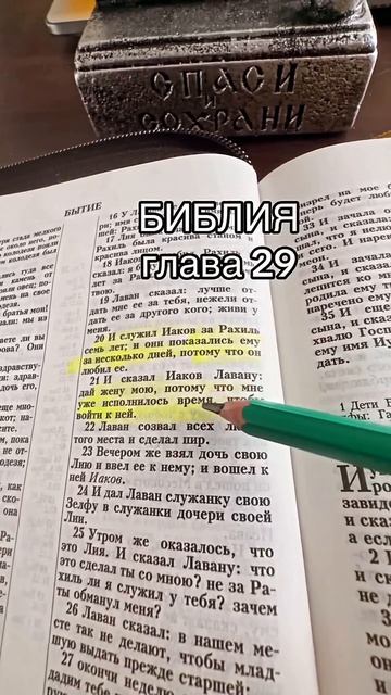 Каждый день возносим молитвы 🙏