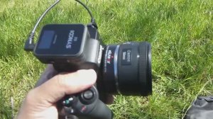 Тест полтинника 📷 Canon 50mm f/1.8 🔥: парк 🌿, лошади 🐎 и странные находки 🐚🪵