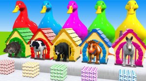 Мультики для детей. Звериная ферма с яркими гусями, домашними и дикими животными. Мультики малышам