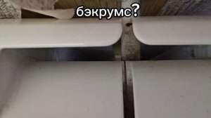 у меня под батареей бэкрумс😭😱😭😭