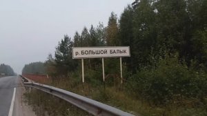 там на соснах шишки...