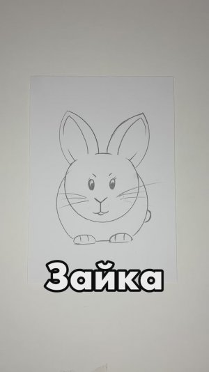 Зайка
