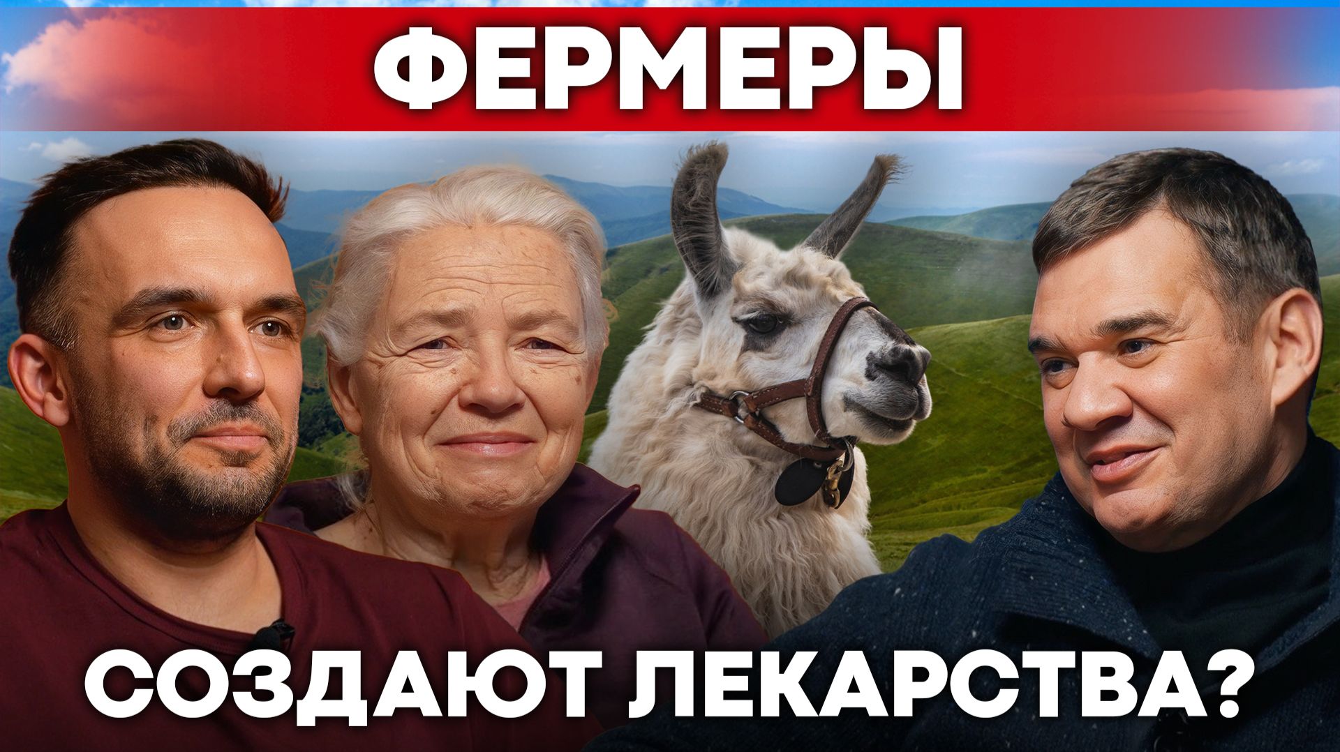 Ферма учёных с альпаками: как в деревне создают лекарства будущего? | Наука и фермерство