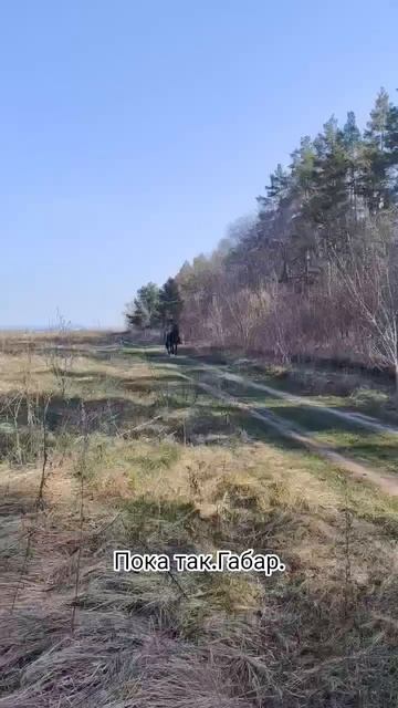 Плывём.