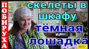 Деревенский дневник очень многодетной мамы _Скелеты в шкафу_Темная лошадка_Обзор _Мать-героиня _
