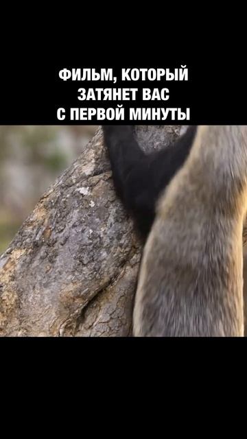 🍿Название сериала: «Аутсайдеры» #reels #film #кино #video #топ #top #rek #фильм #фильмы #rek #movie