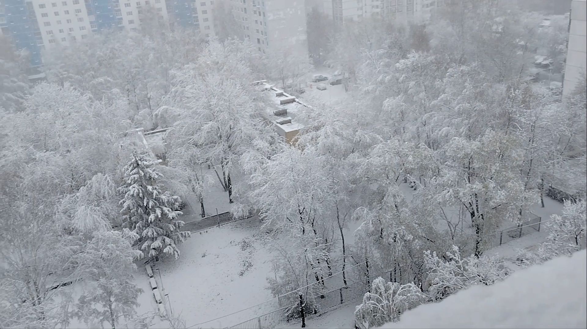 Чудеса, да и только!