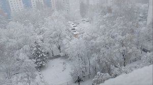 Чудеса, да и только!