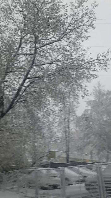 ЗИМНЯЯ ПОГОДА