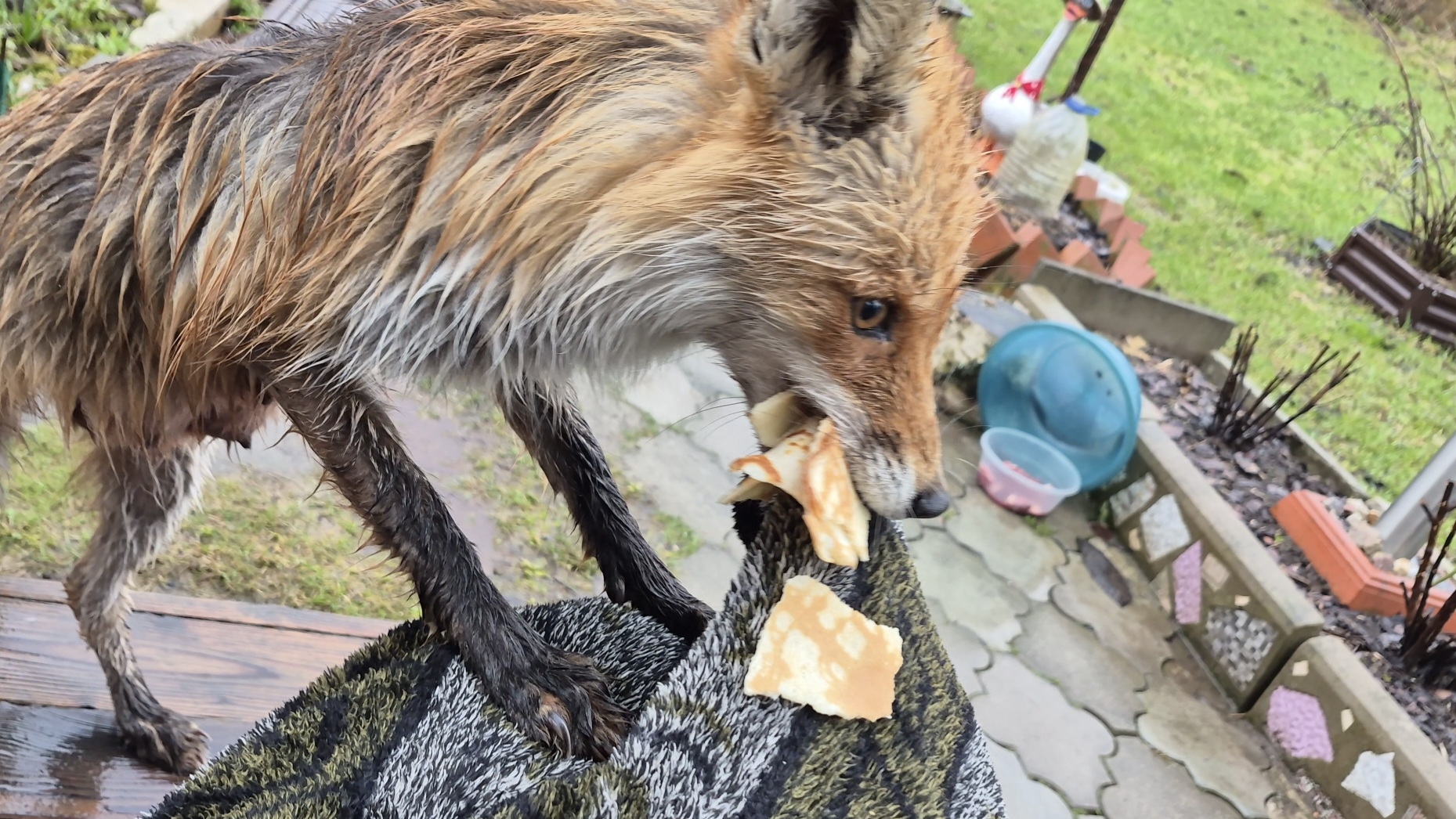 Лена навела панику