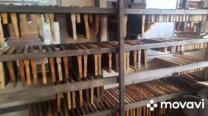 погоды нет, но работа есть🐝 19.04.2026 #пчелы #пасека #пчеловодство