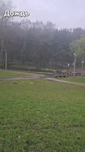 Тоже любите дождь?