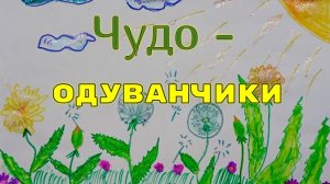 Чудо - одуванчики