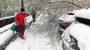 В Москве пострадали автомобили от сильного снегопада.