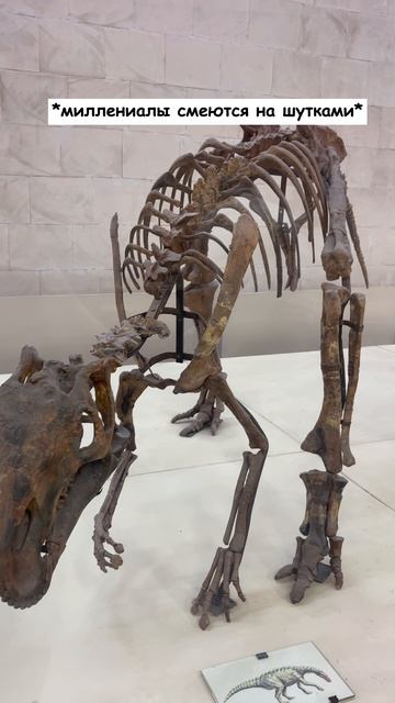 Не забудьте отправить этот ролик тому самому миллениалу 😉