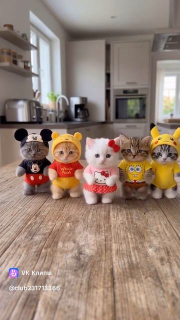 Эти котята танцуют под милый танец