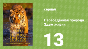 Первозданная природа. Эдем жизни 13 серия (документальный сериал, 1997)