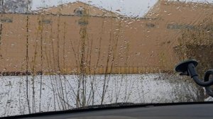 27-04-2026 Погода шепчет , поход за грибами откладывается