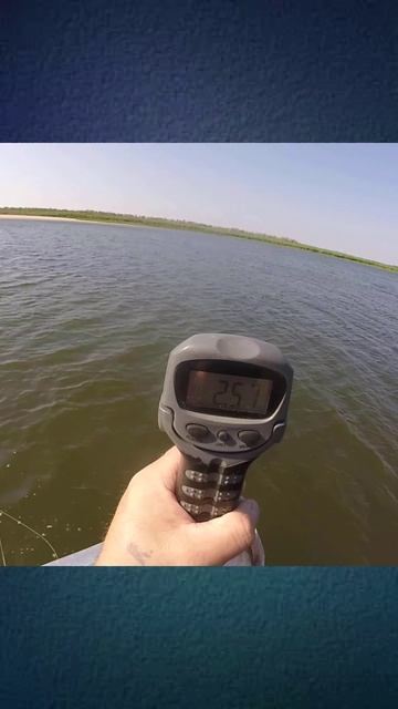 Двушечка на взвешивании!!!