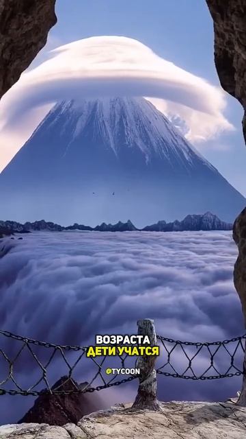 Почему в японских школах дети не сдают экзамены?