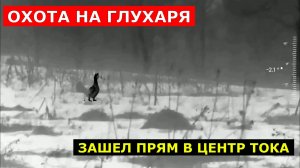 Трудовая Охота на ГЛУХАРЯ ! Подошел в упор! Один шаг до счастья! Смотреть всем охотникам!!!