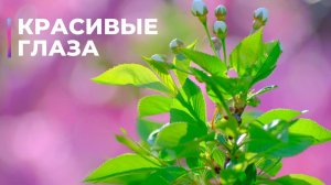 Красивые глаза | Саблиминал