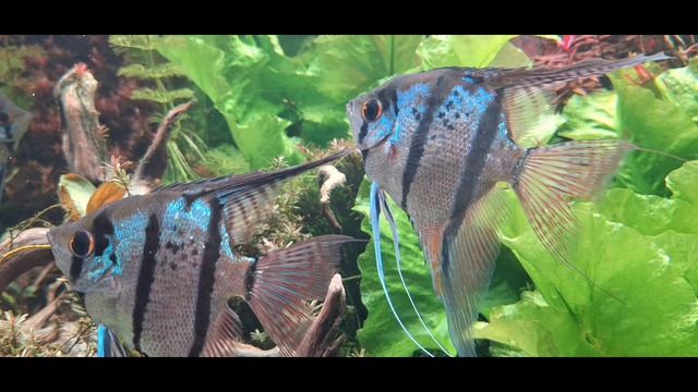 Москва_отпуск