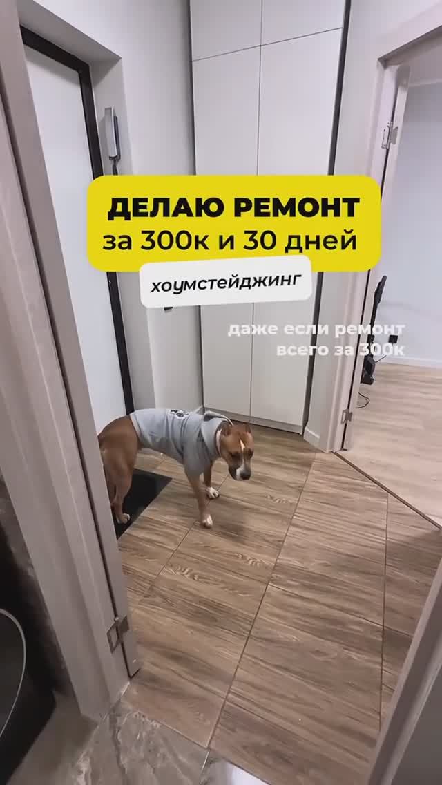 Ремонт за 300к в 2025/26 ⤵️
