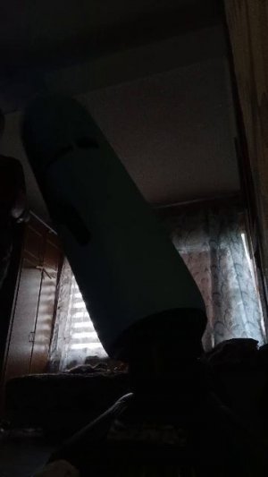 опять треня