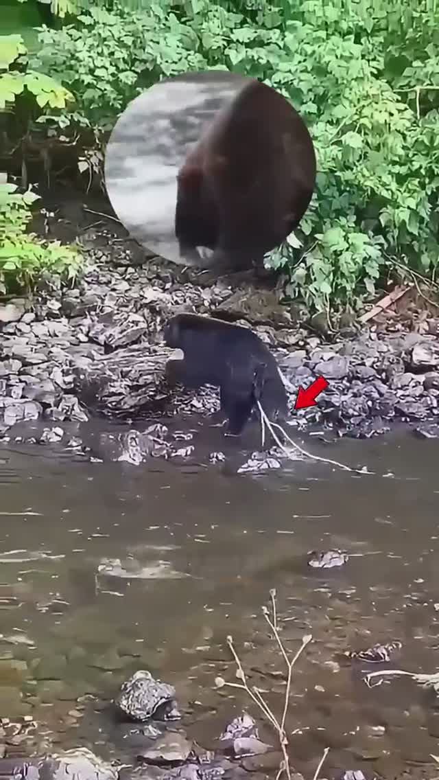 Ты не сможешь узнать этих животных так близко 😱🐾