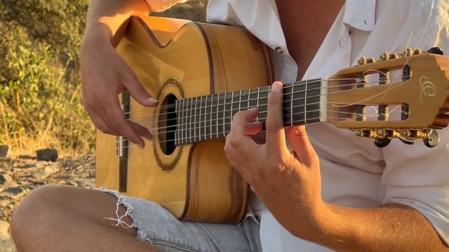 A FISTFUL OF DOLLARS Ennio Morricone фингерстайл кавер на Акустической Гитаре Thomas Zwijsen