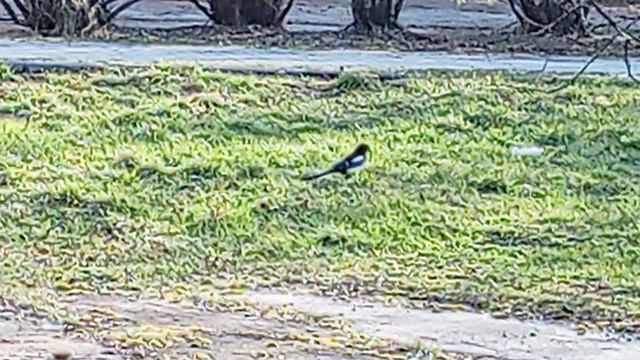 1000027510.mp4 смотреть онлайн