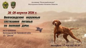 Волгоградские окружные состязания легавых по полевой дичи
