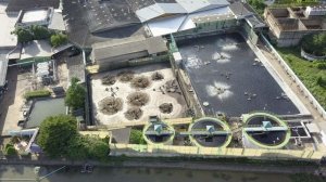 Футаж для сайта экология