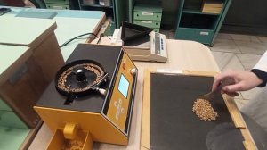 ФГБУ «Россельхозцентр». Как определить массу 1000 семян