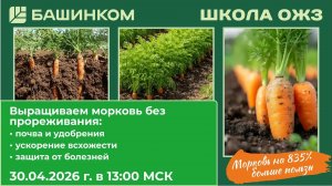 Не прореживайте всходы! Учимся сеять морковь по технологии ОЖЗ