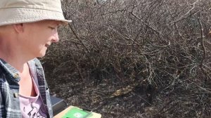 Мангал в подарок, первый день на саду