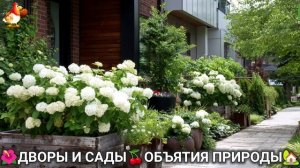 Дворы и сады 🍒 идеи оформления дачи в объятиях природы 🏡 (3) 🍒
