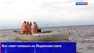 Как ловят корюшку на Ладожском озере