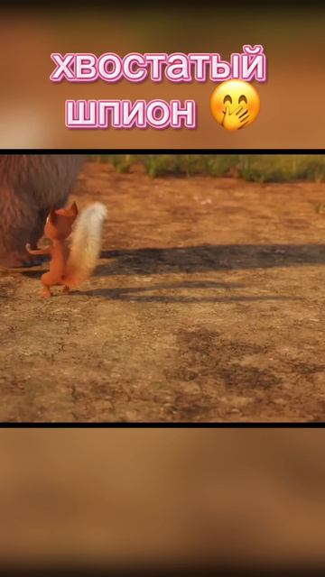 Хвостатый шпион 😅
