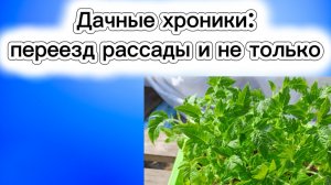 28-04-2026Дачные хроники : переезд рассады и не только..
