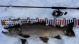 САМАЯ БОЛЬШАЯ РЫБА В МОЕЙ ЖИЗНИ! Поймал ГИГАНТСКУЮ РЫБУ в заснеженном горном озере