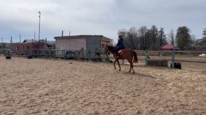 #жизнь_Аликорна 22.04.26 Первый галоп на Лилу)