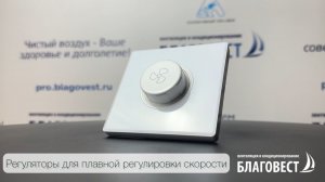 Регулятор скорости симисторный L91 (2,5А)