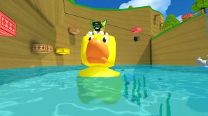 Перетаскиваем уток в озеро в СБА