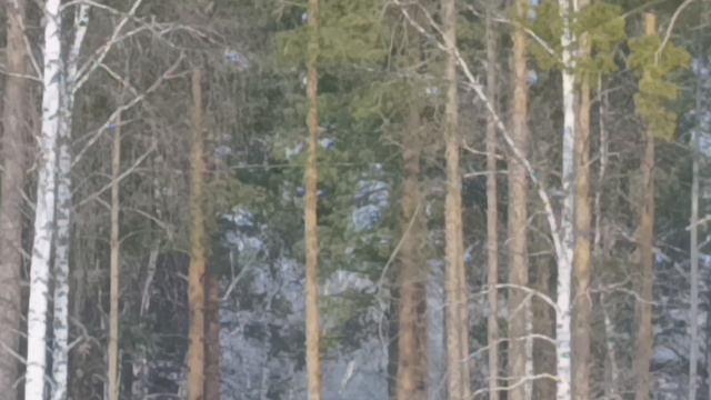 4. Гора Мраткино (806 метров). 28 марта 2026 года.