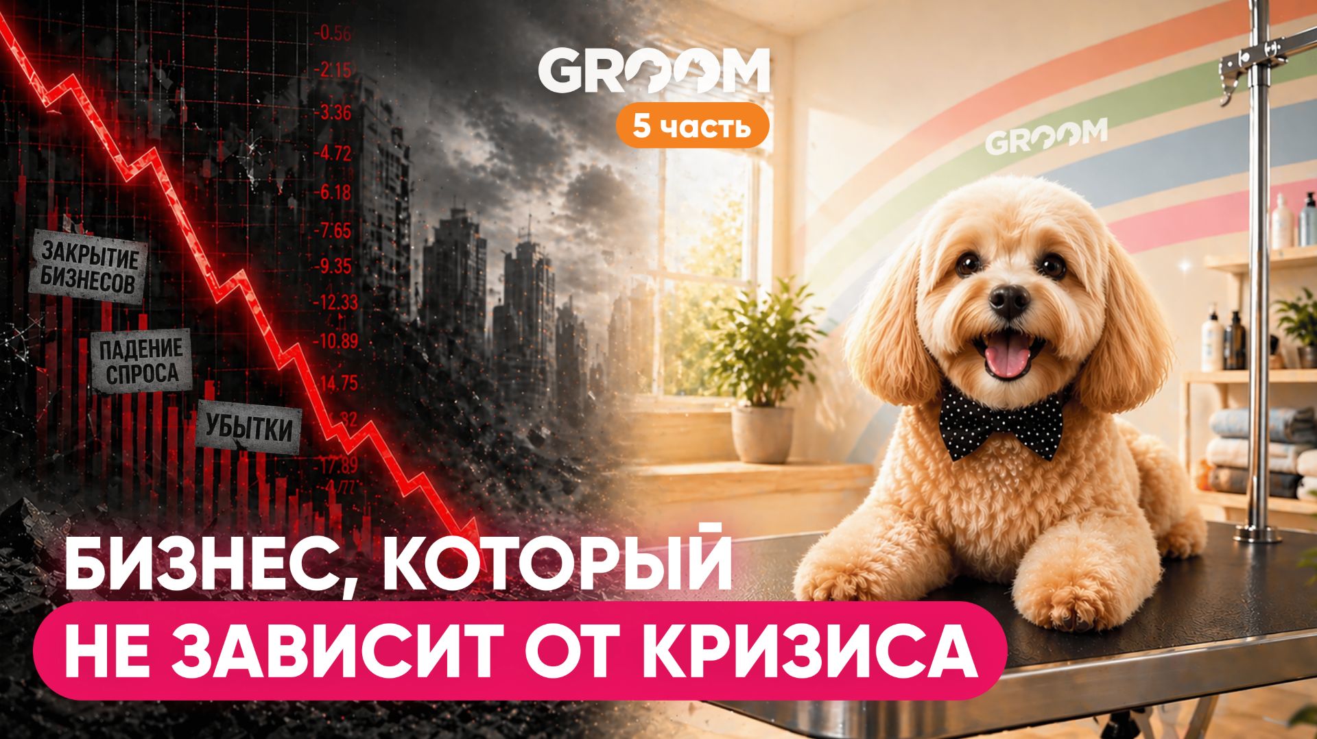 Пятая часть. Бизнес который не зависит от кризиса